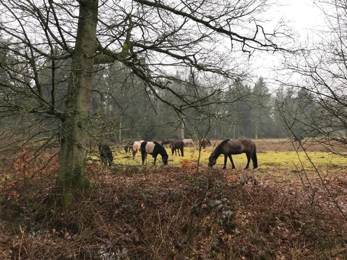 De Kempse Hoeve B&B Boxtel Eksteriør billede